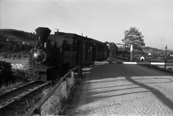 Samoborček u vožnji 1941. godine